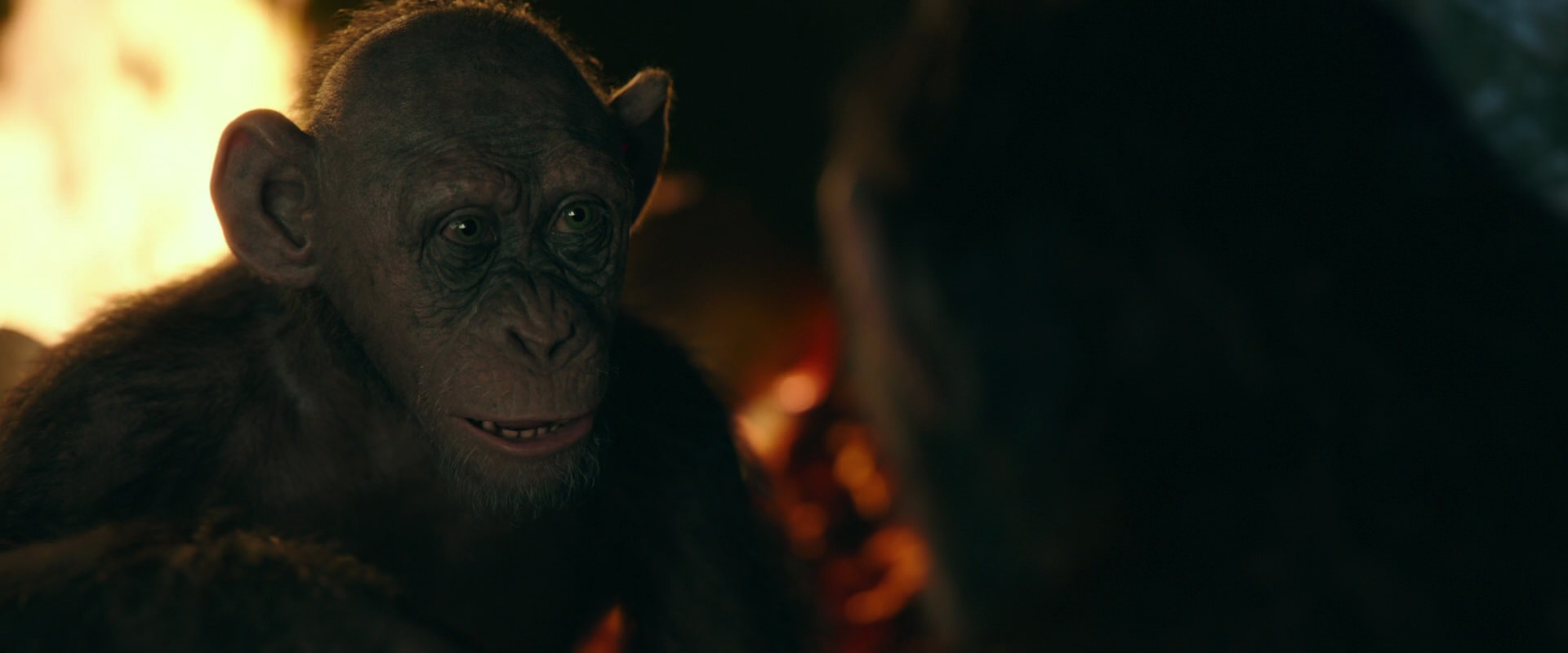 War for the Planet of the Apes (2017) movie still 5884