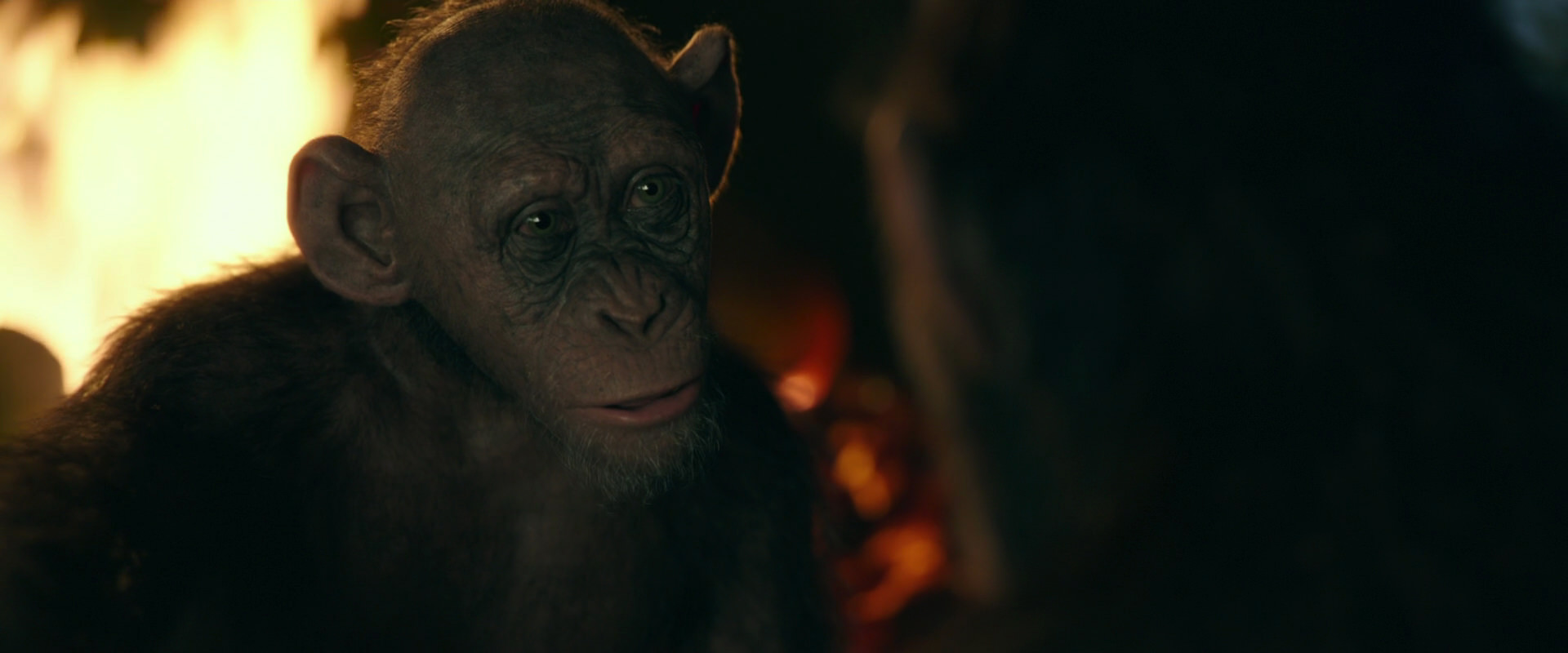 War for the Planet of the Apes (2017) screencap 5886