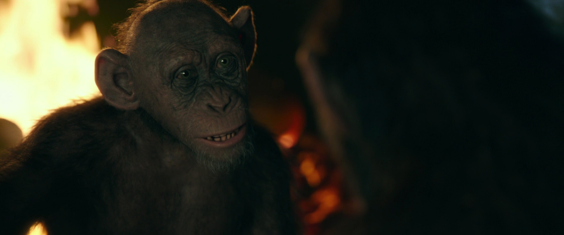War for the Planet of the Apes (2017) movie still 5887
