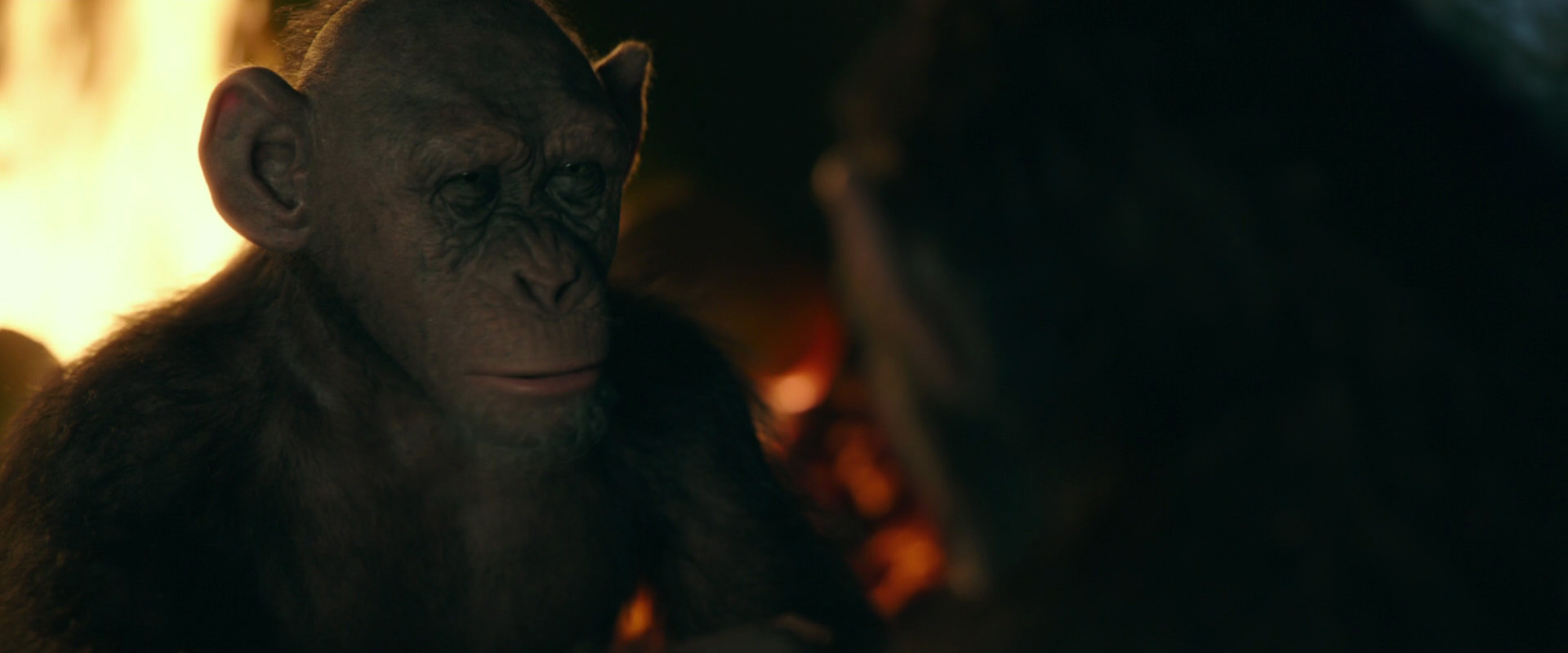 War for the Planet of the Apes (2017) screencap 5889