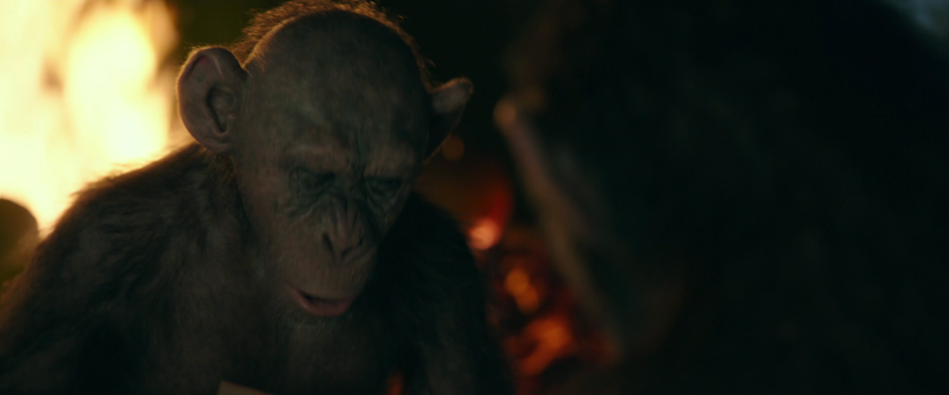 War for the Planet of the Apes (2017) movie still 5890