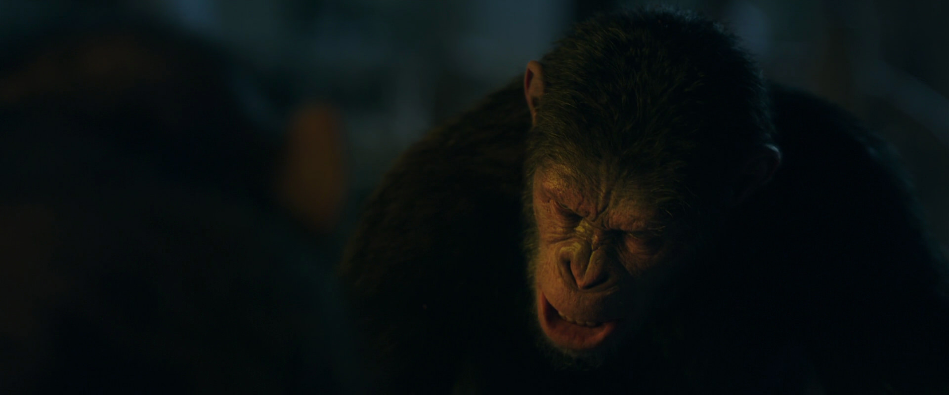 War for the Planet of the Apes (2017) screencap 5892