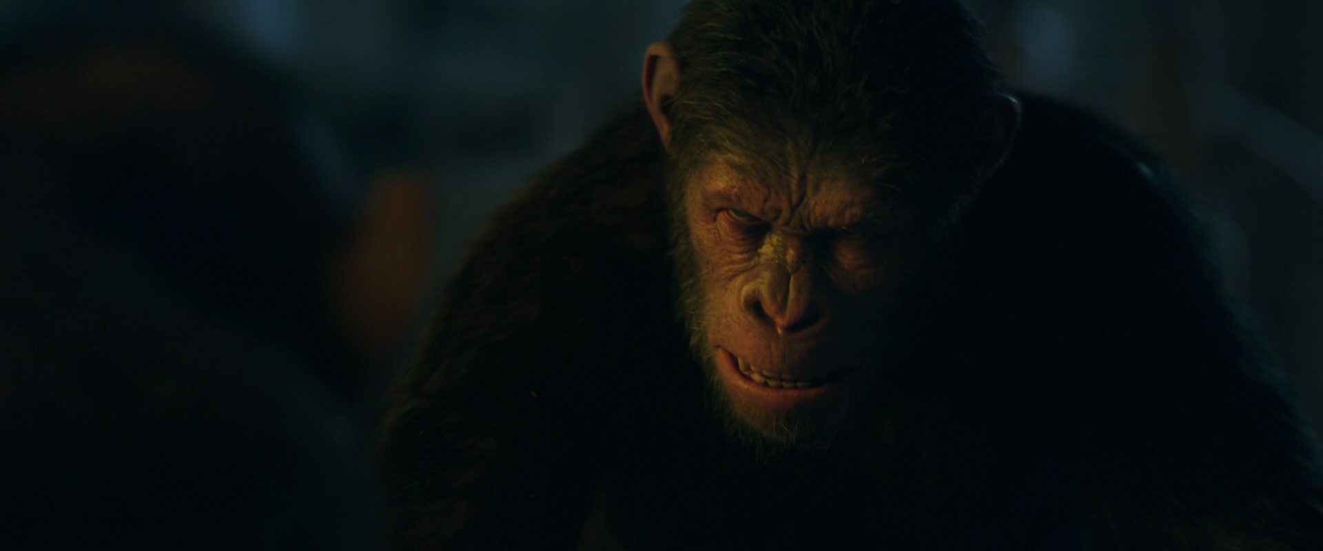 War for the Planet of the Apes (2017) movie still 5893