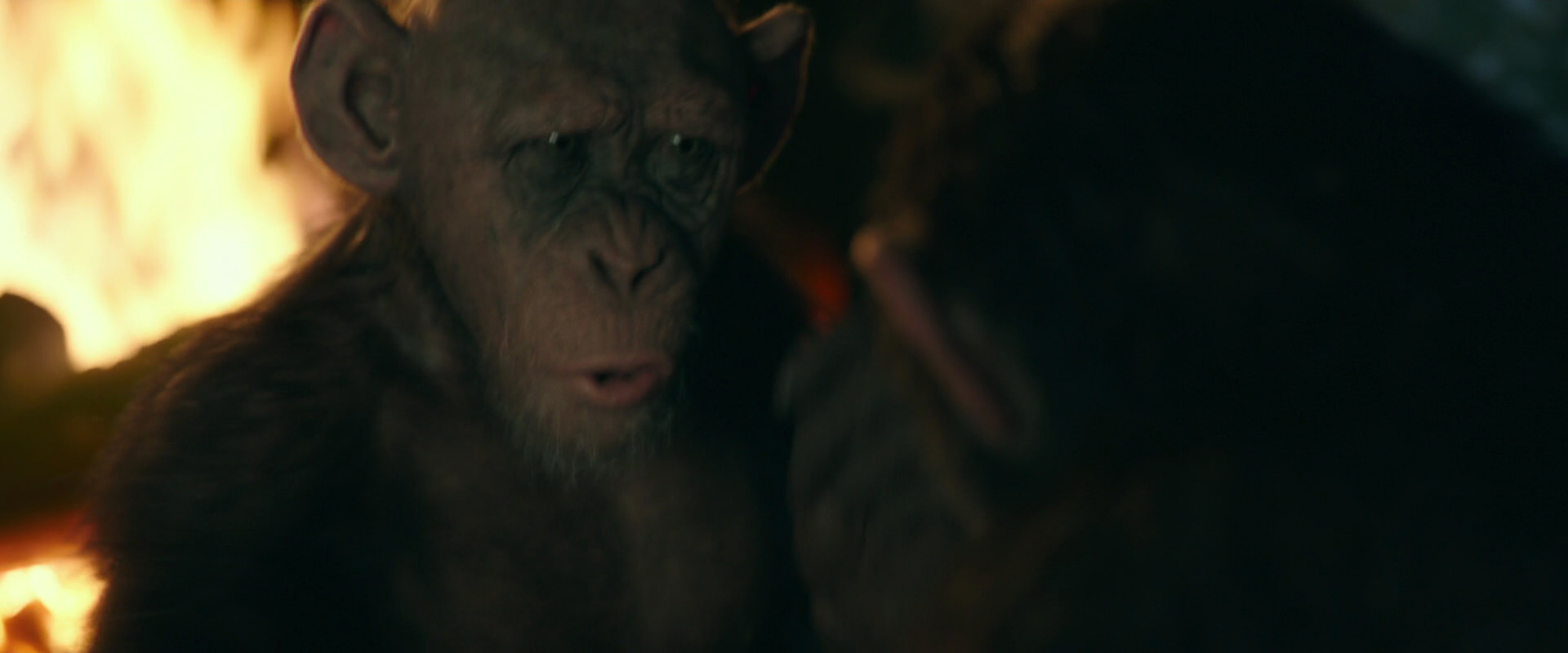 War for the Planet of the Apes (2017) HD screenshot 5894