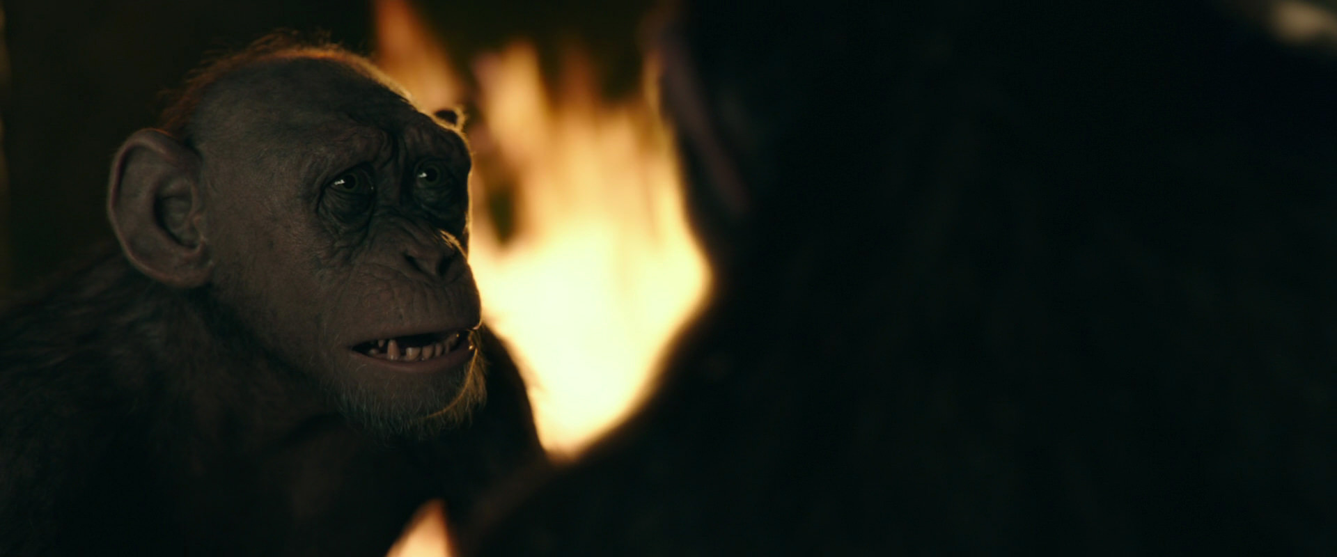 War for the Planet of the Apes (2017) screencap 5901