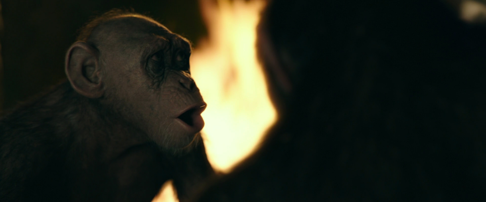 War for the Planet of the Apes (2017) movie still 5902