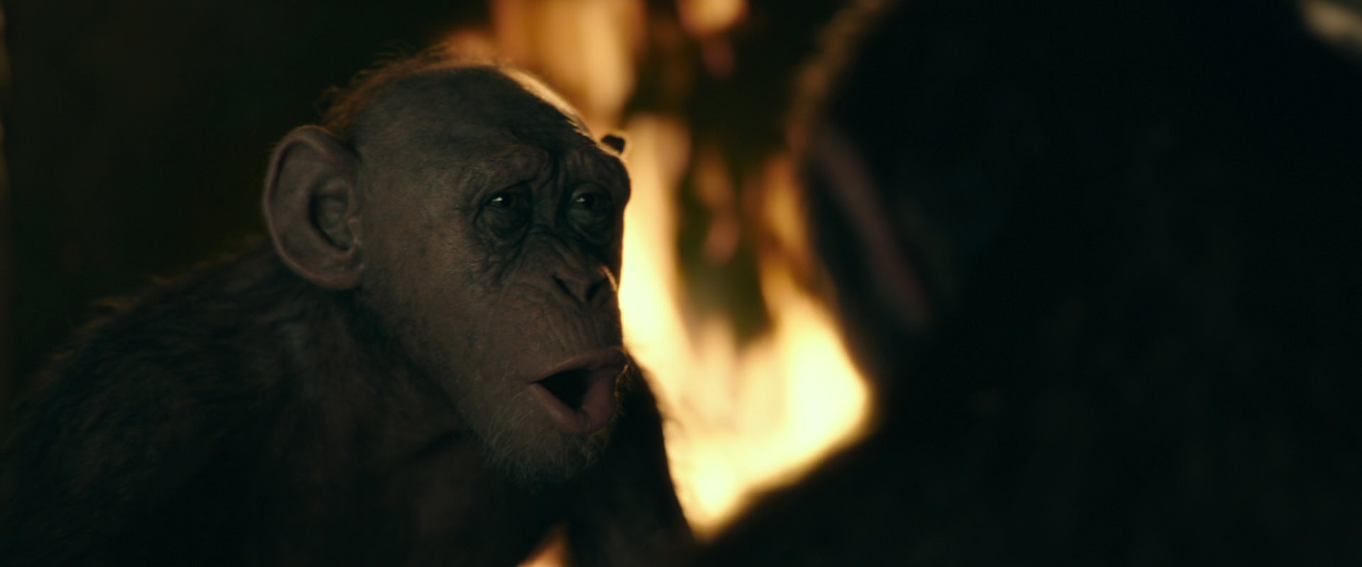 War for the Planet of the Apes (2017) screencap 5904