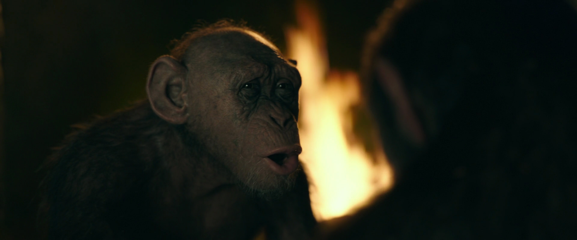 War for the Planet of the Apes (2017) movie still 5905