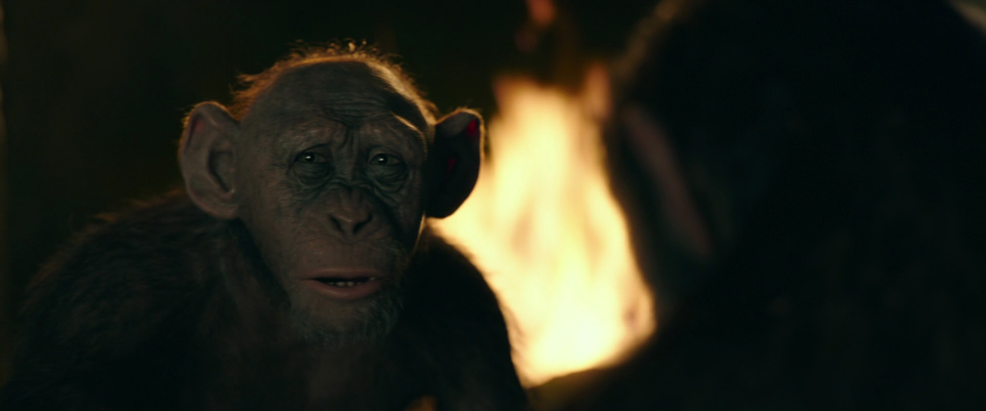 War for the Planet of the Apes (2017) HD screenshot 5906
