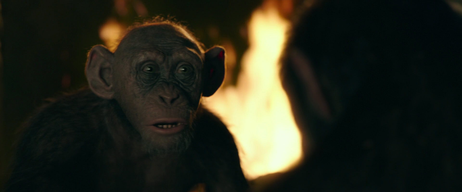 War for the Planet of the Apes (2017) screencap 5907