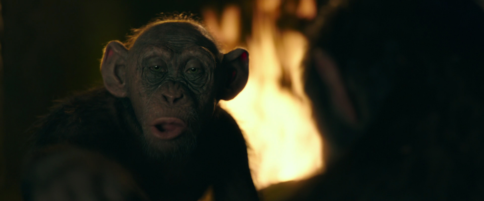 War for the Planet of the Apes (2017) movie still 5908