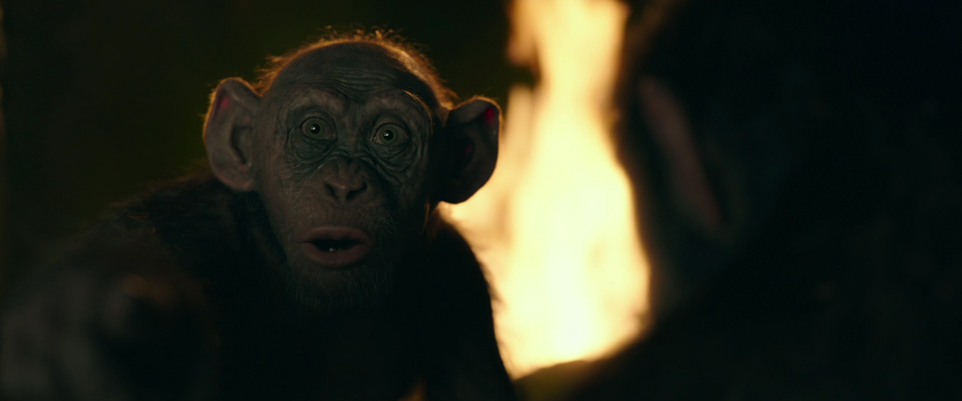 War for the Planet of the Apes (2017) HD screenshot 5909