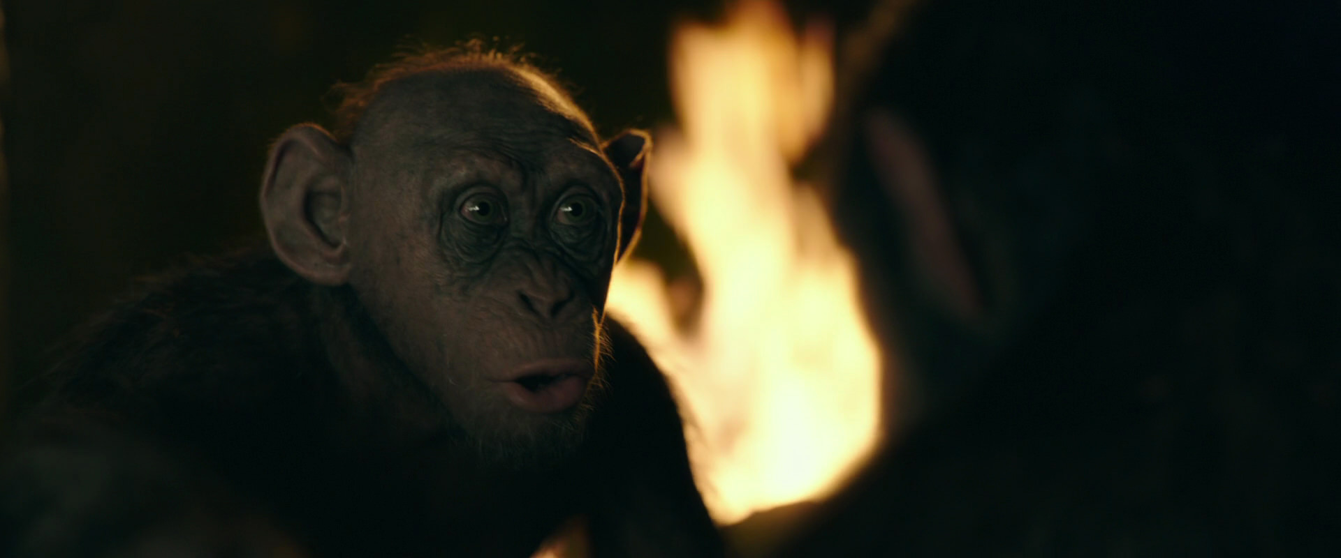 War for the Planet of the Apes (2017) screencap 5910