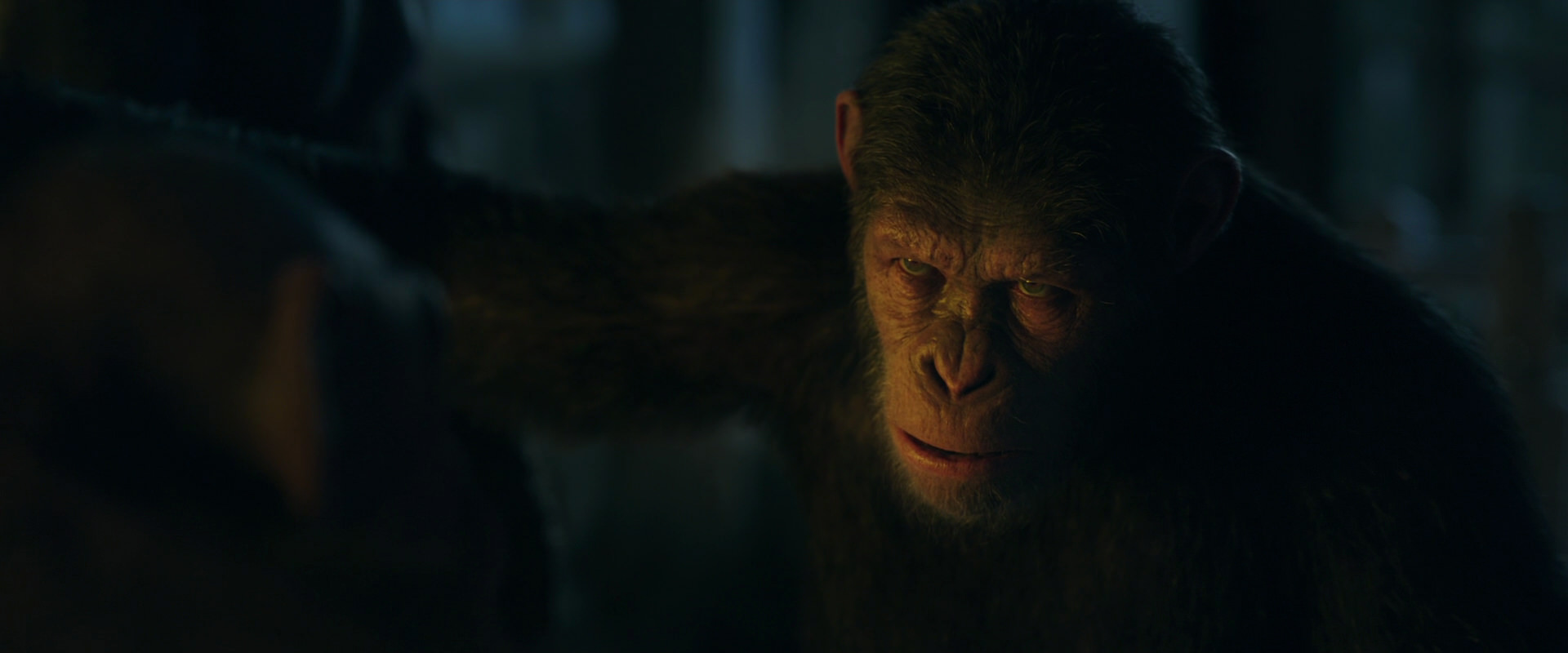 War for the Planet of the Apes (2017) movie still 5911
