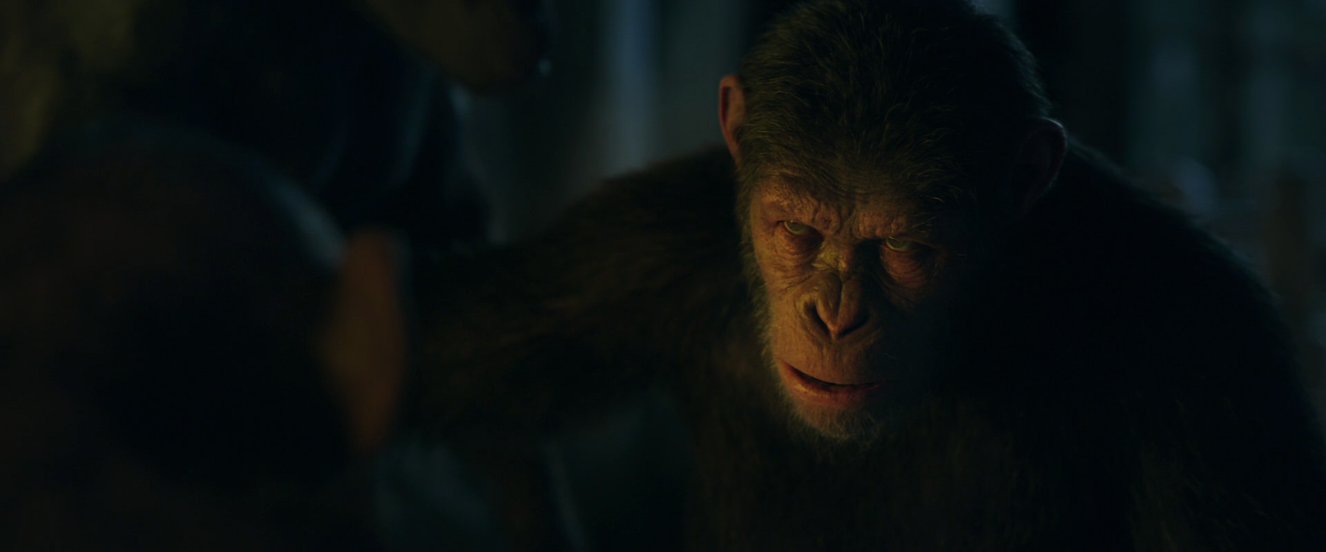 War for the Planet of the Apes (2017) screencap 5913