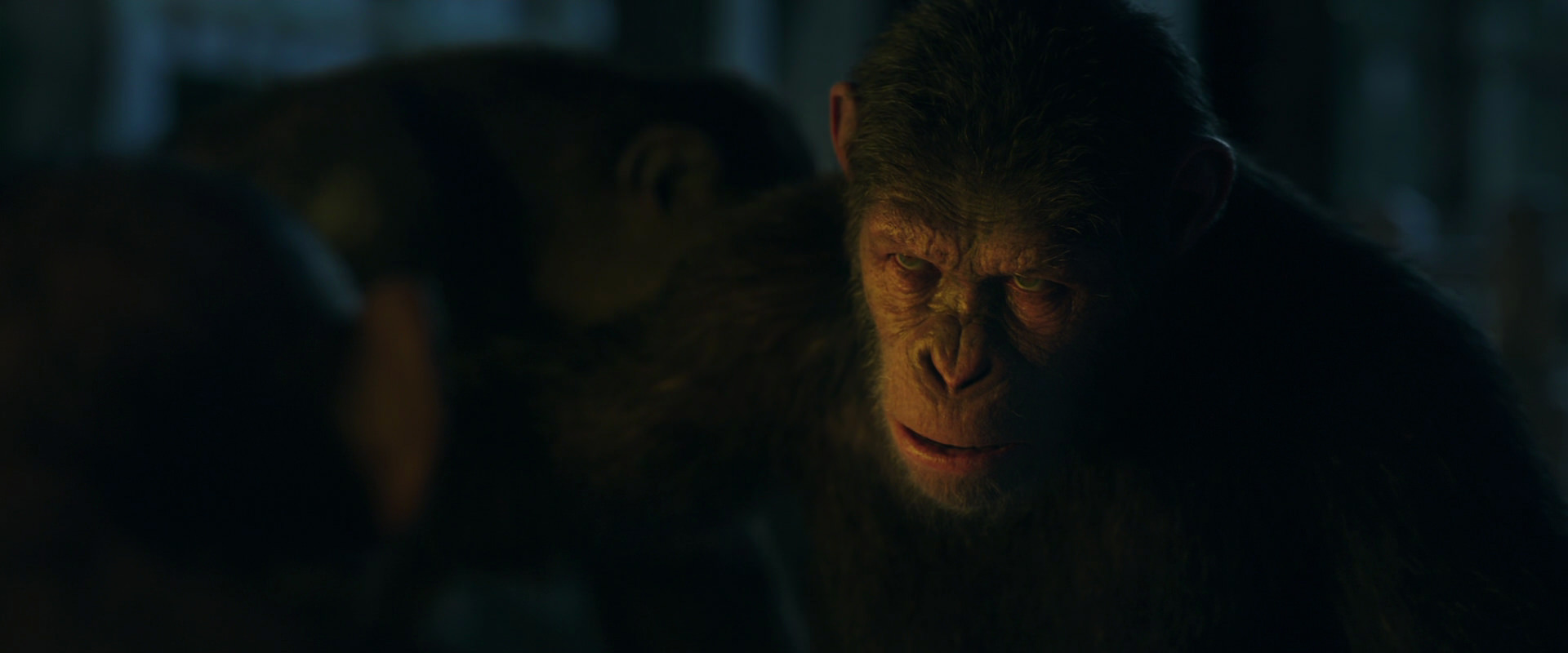 War for the Planet of the Apes (2017) movie still 5914