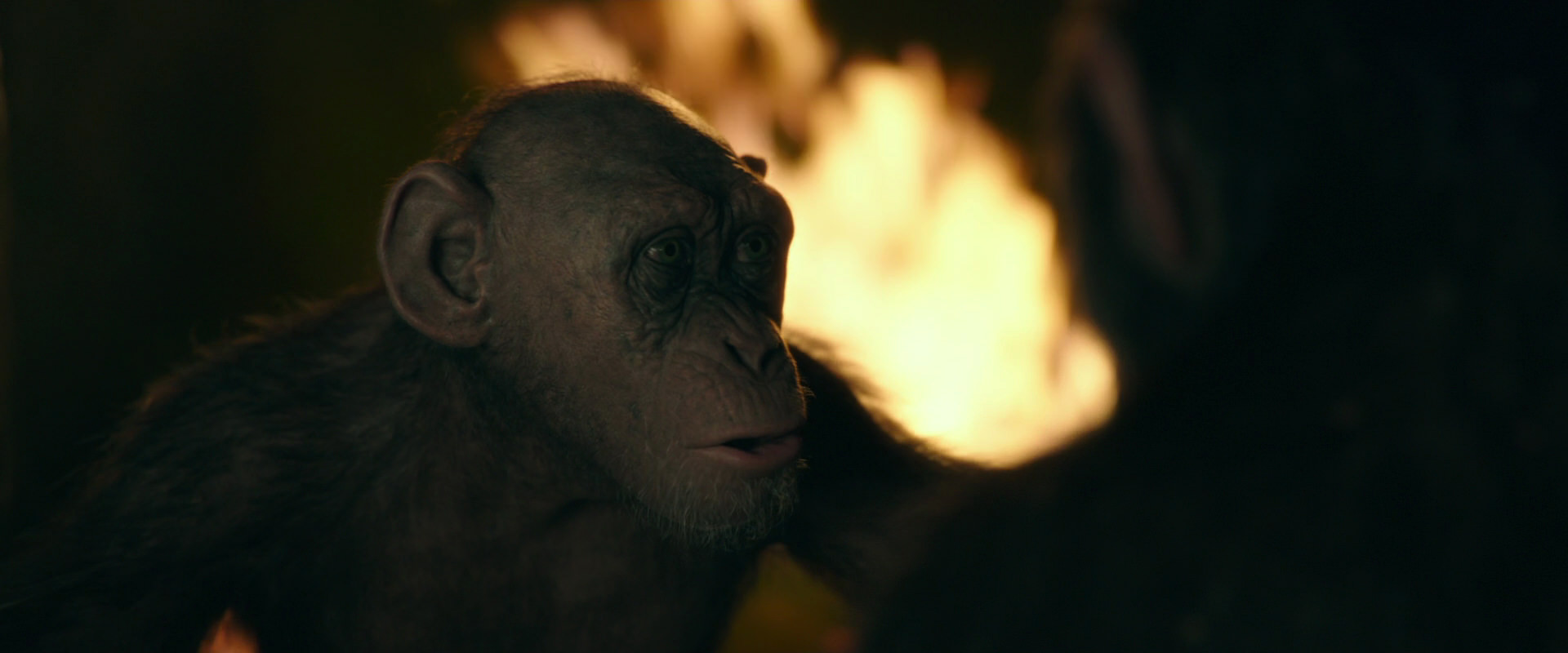 War for the Planet of the Apes (2017) screencap 5916