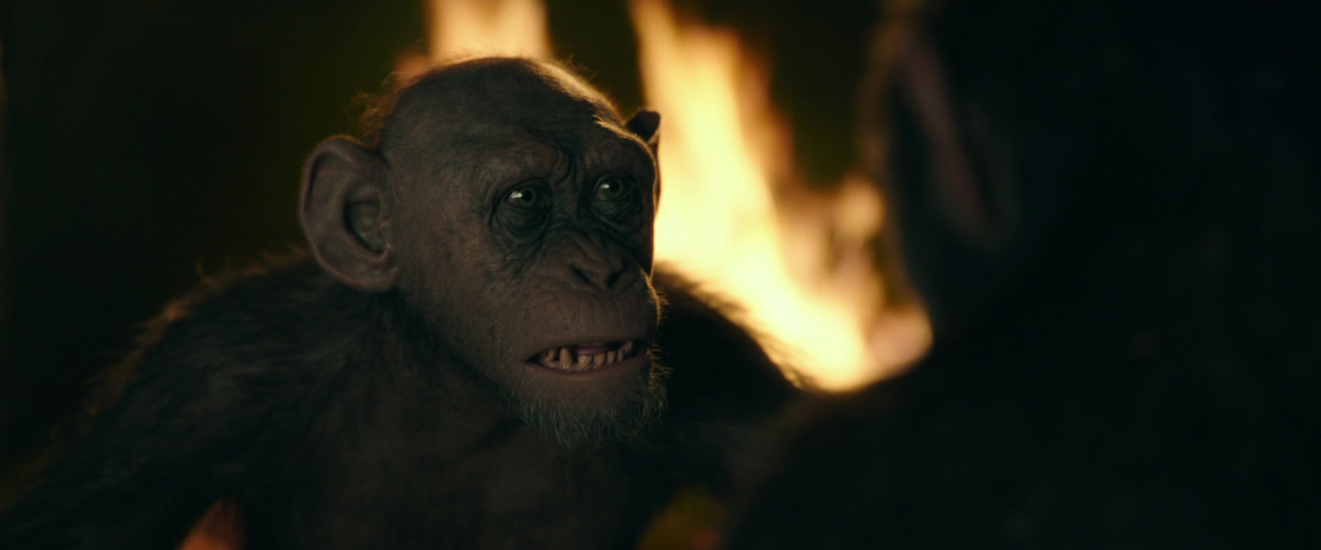 War for the Planet of the Apes (2017) movie still 5917