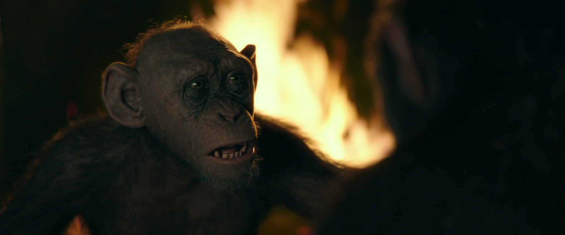 War for the Planet of the Apes (2017) HD screenshot 5918