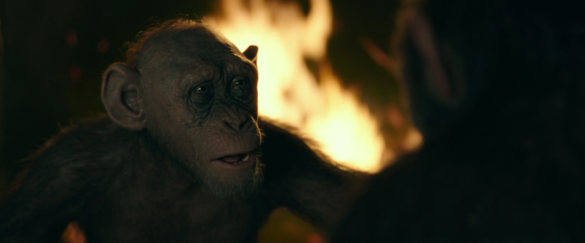 War for the Planet of the Apes (2017) screencap 5919