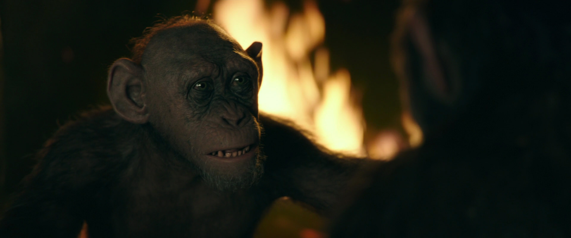 War for the Planet of the Apes (2017) movie still 5920