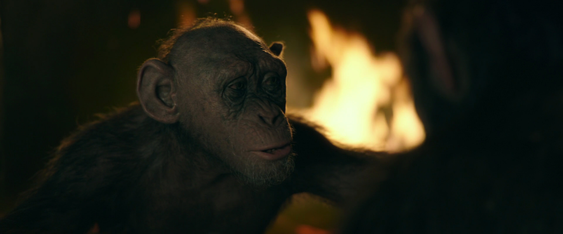 War for the Planet of the Apes (2017) HD screenshot 5921