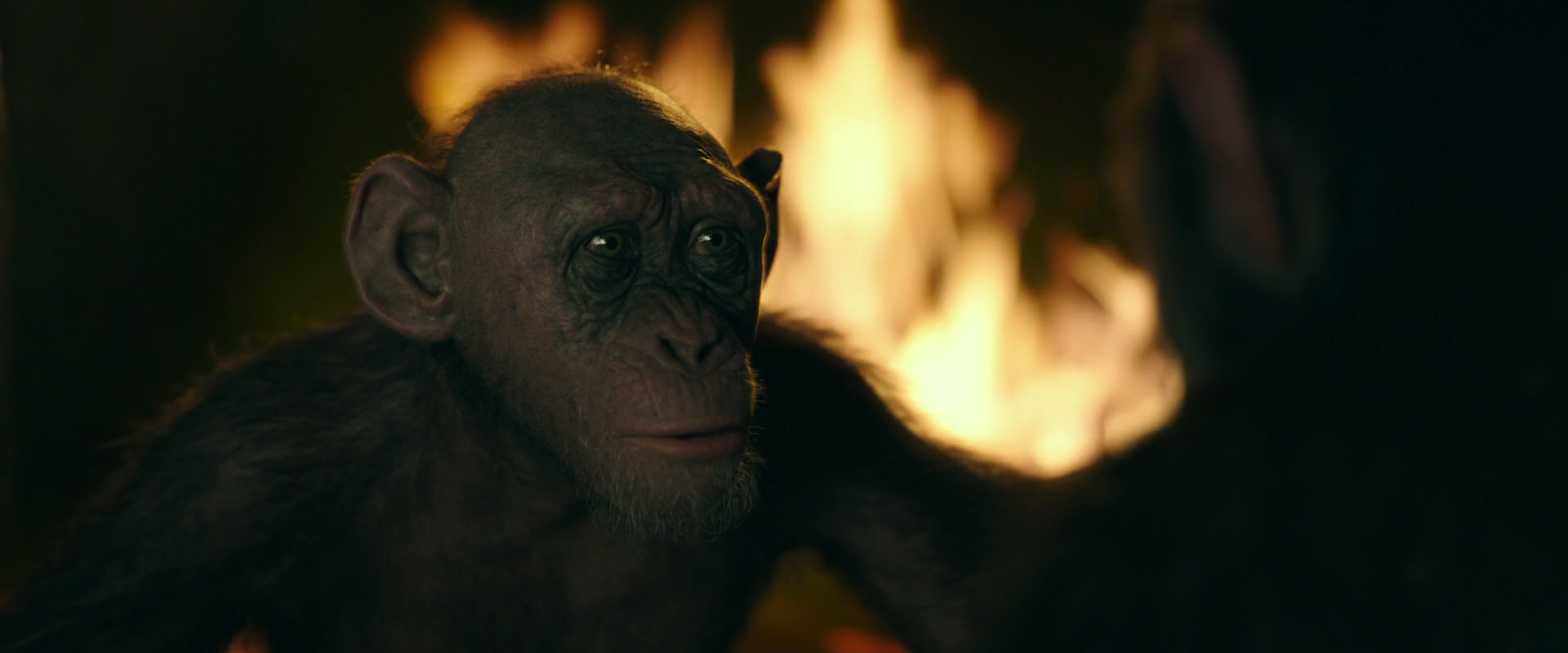 War for the Planet of the Apes (2017) screencap 5922