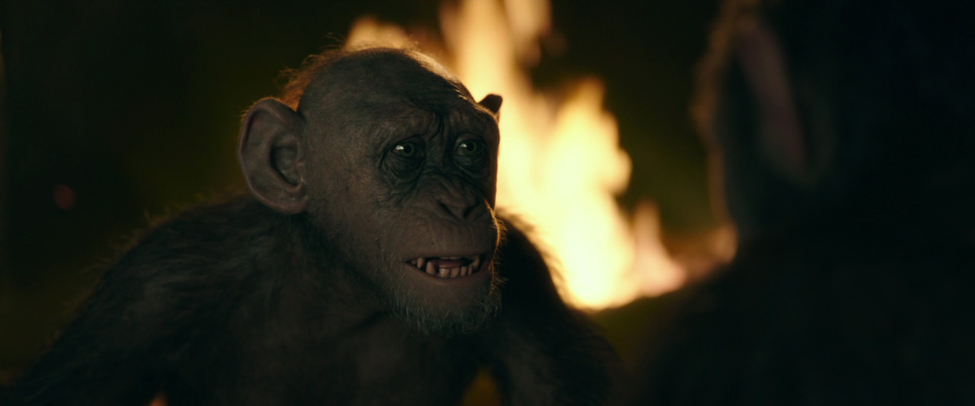 War for the Planet of the Apes (2017) movie still 5923