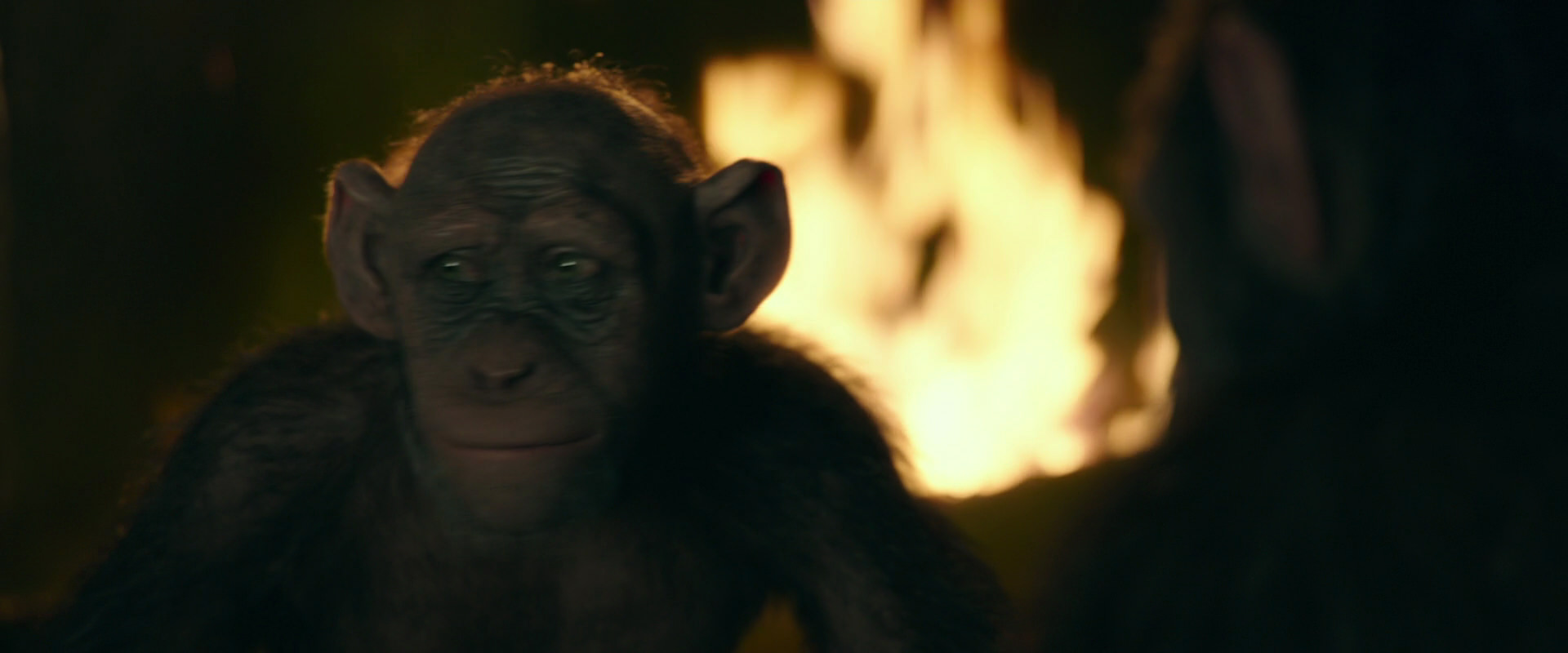 War for the Planet of the Apes (2017) HD screenshot 5924