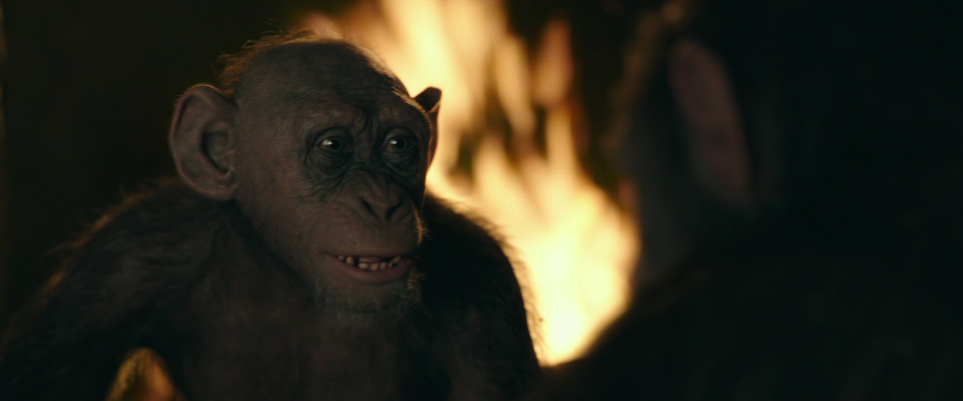 War for the Planet of the Apes (2017) movie still 5938