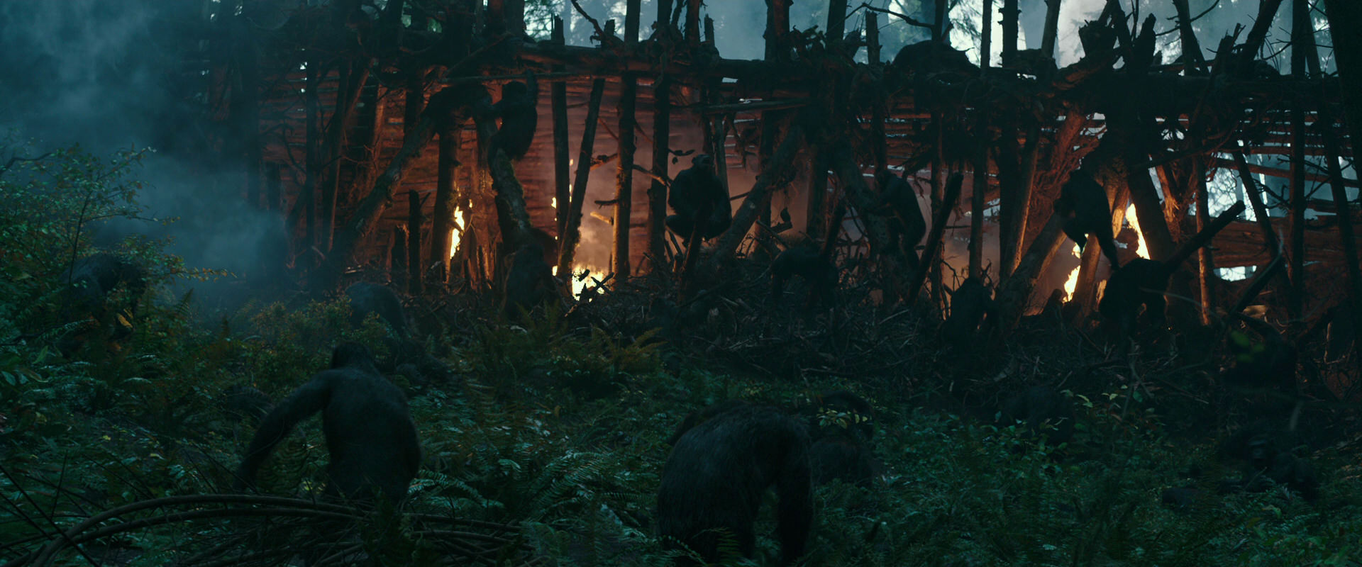 War for the Planet of the Apes (2017) screencap 594