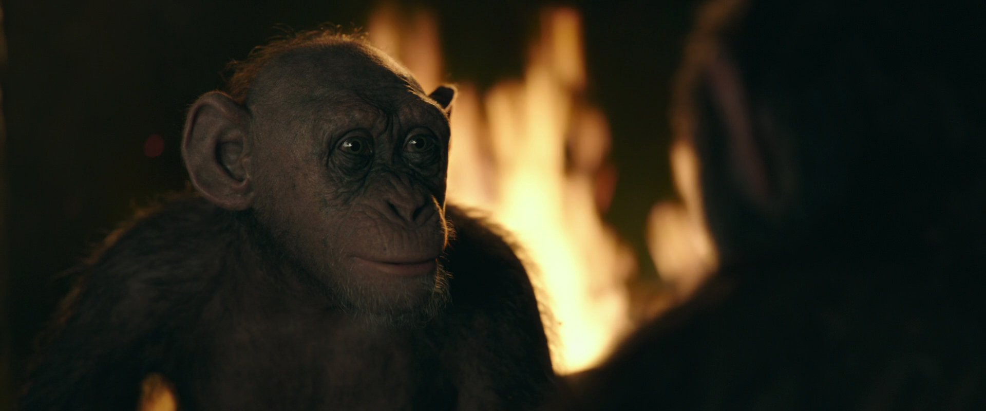 War for the Planet of the Apes (2017) screencap 5940