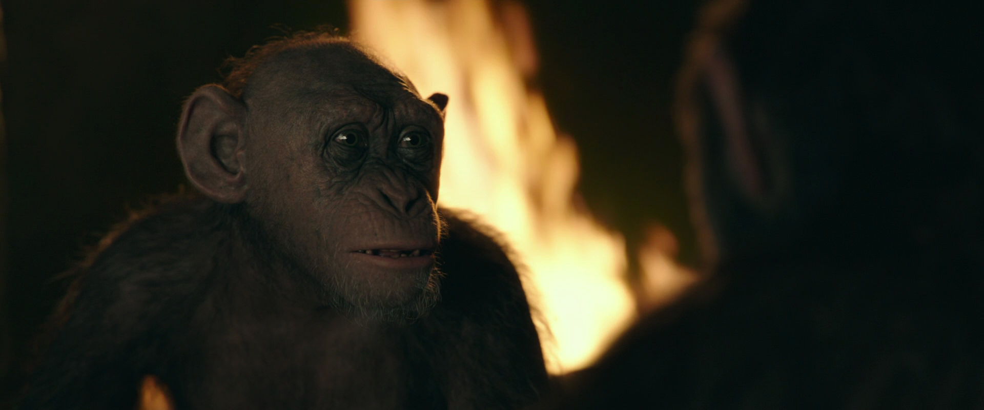 War for the Planet of the Apes (2017) movie still 5941