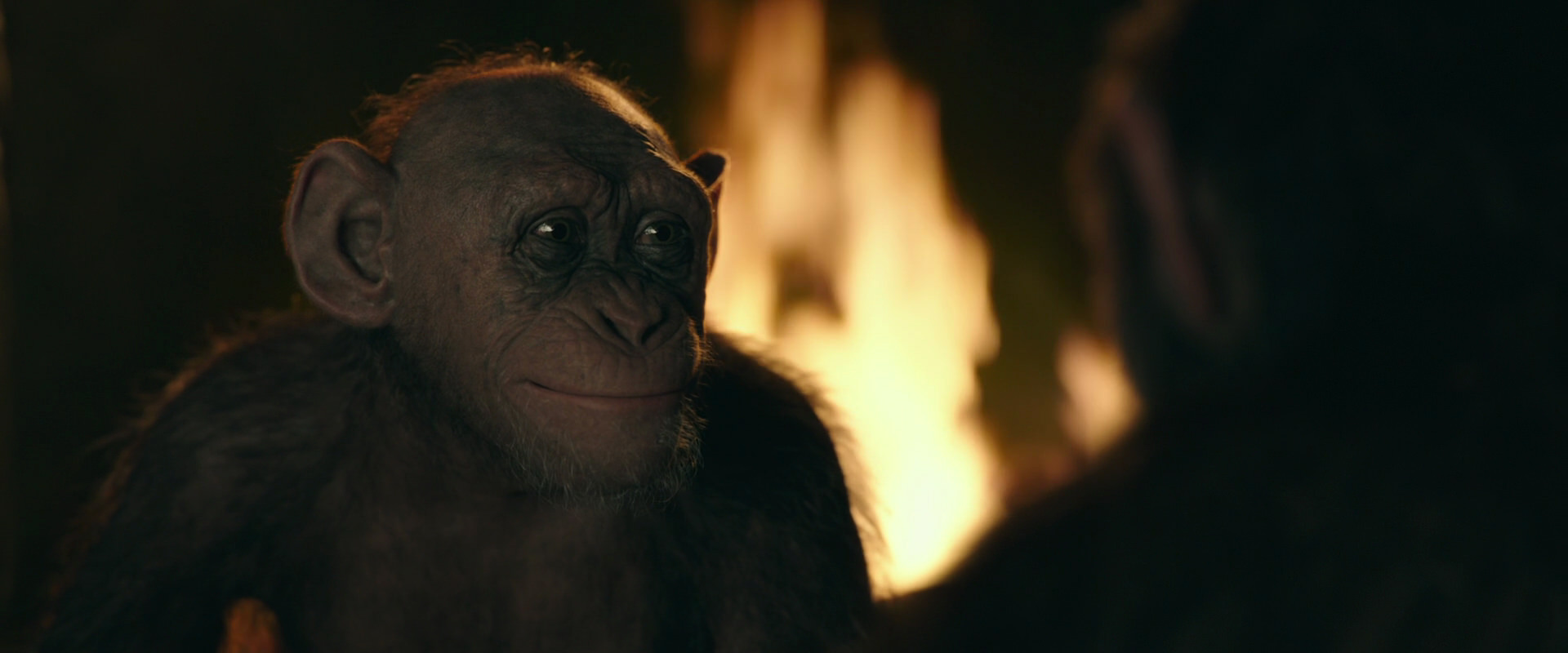 War for the Planet of the Apes (2017) screencap 5943