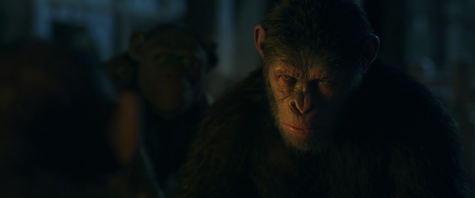 War for the Planet of the Apes (2017) movie still 5944