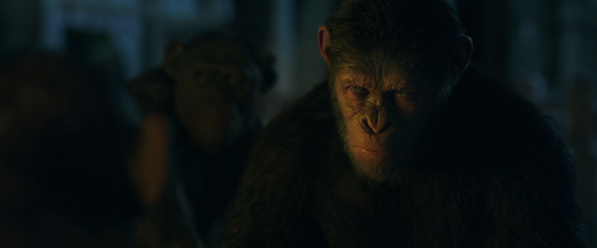 War for the Planet of the Apes (2017) HD screenshot 5945