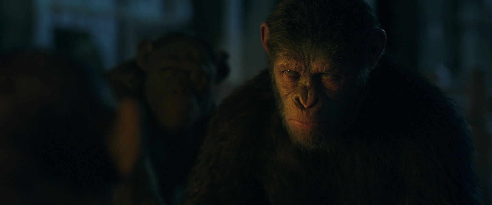 War for the Planet of the Apes (2017) screencap 5946