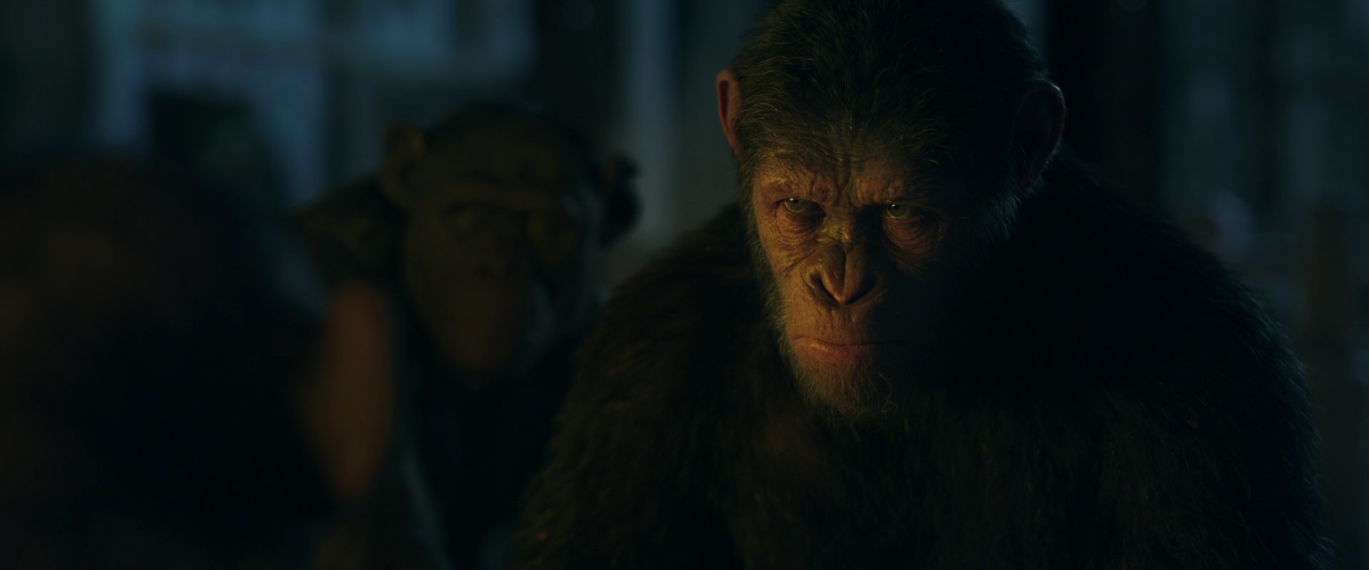 War for the Planet of the Apes (2017) movie still 5947
