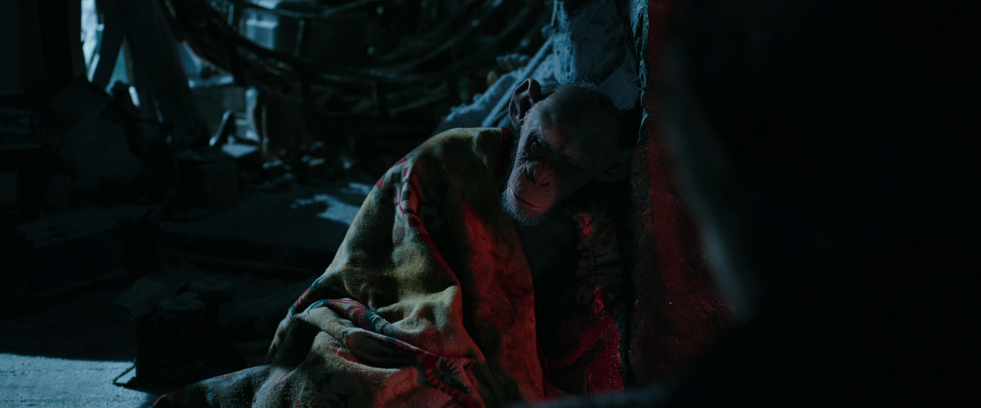War for the Planet of the Apes (2017) movie still 6010