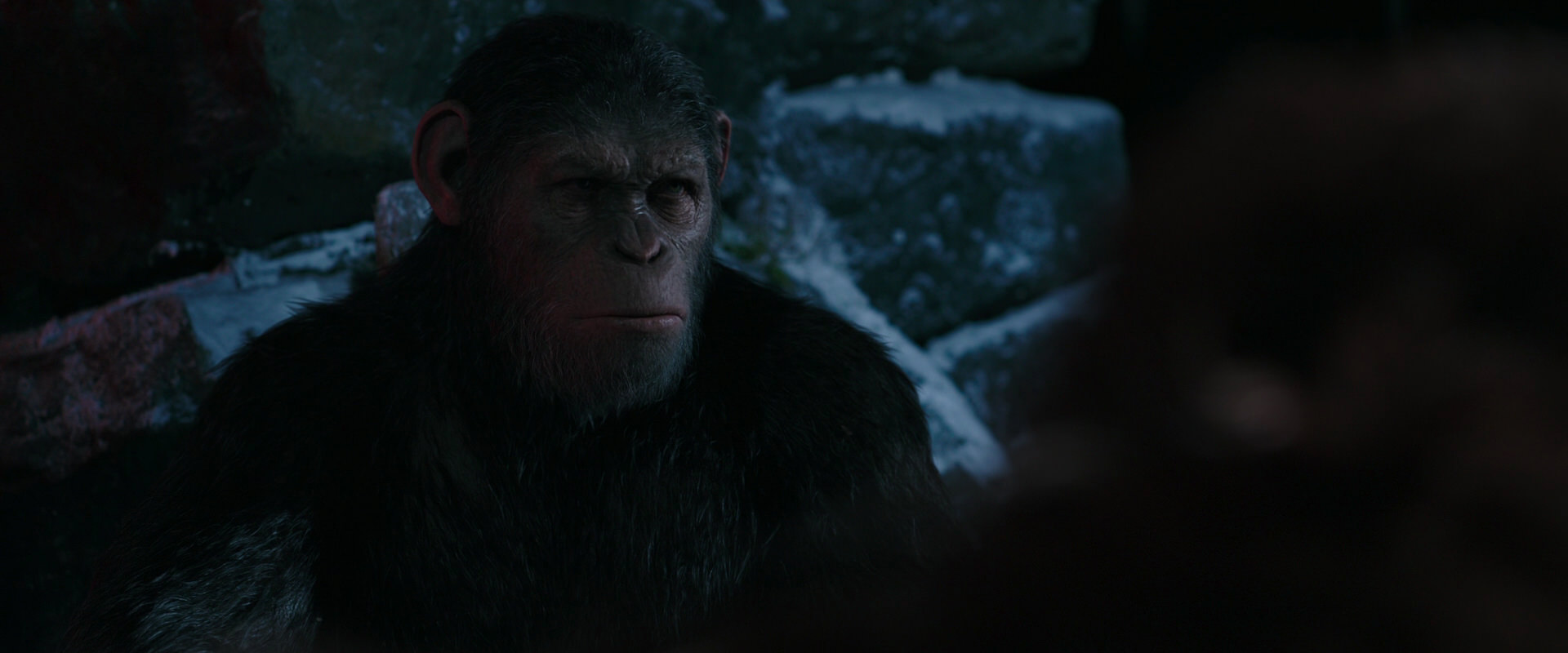 War for the Planet of the Apes (2017) HD screenshot 6020