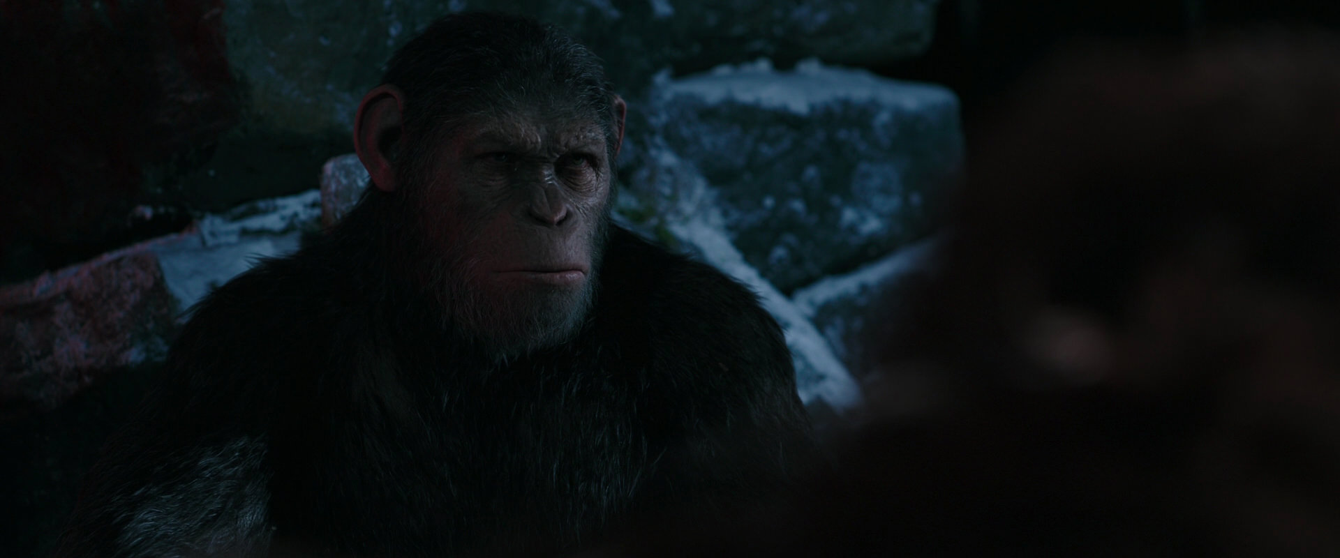 War for the Planet of the Apes (2017) screencap 6021