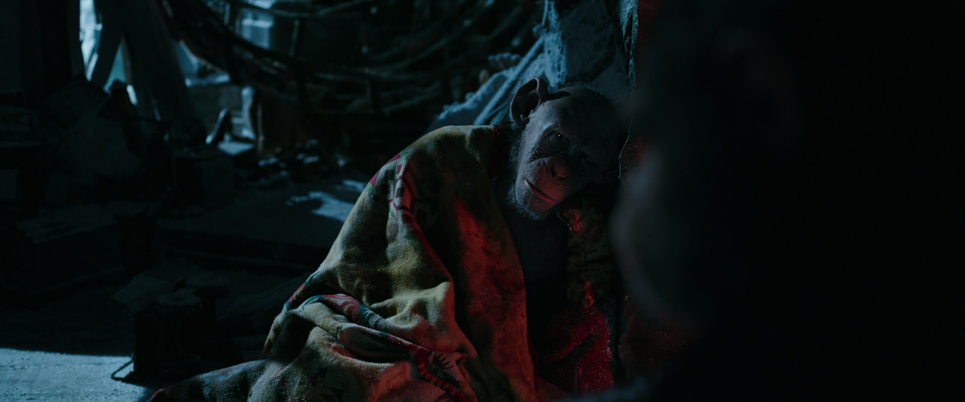 War for the Planet of the Apes (2017) movie still 6028