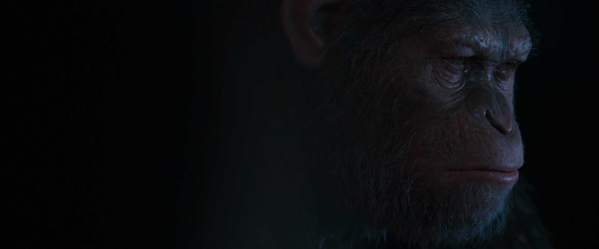 War for the Planet of the Apes (2017) HD screenshot 6032
