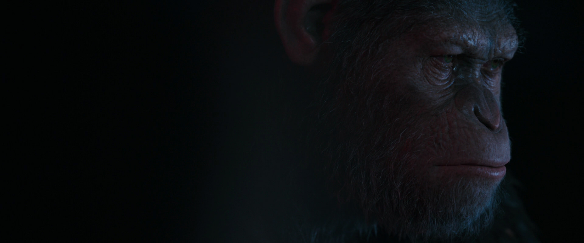 War for the Planet of the Apes (2017) movie still 6034