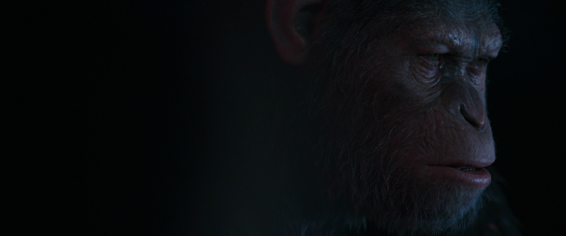 War for the Planet of the Apes (2017) movie still 6037