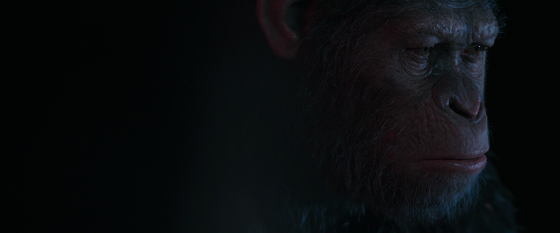 War for the Planet of the Apes (2017) HD screenshot 6071