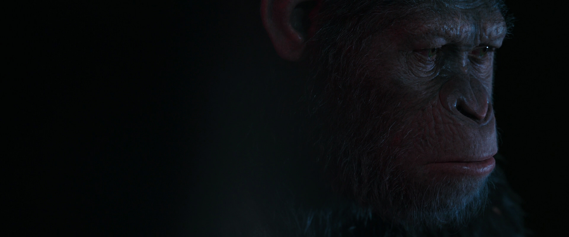 War for the Planet of the Apes (2017) screencap 6072