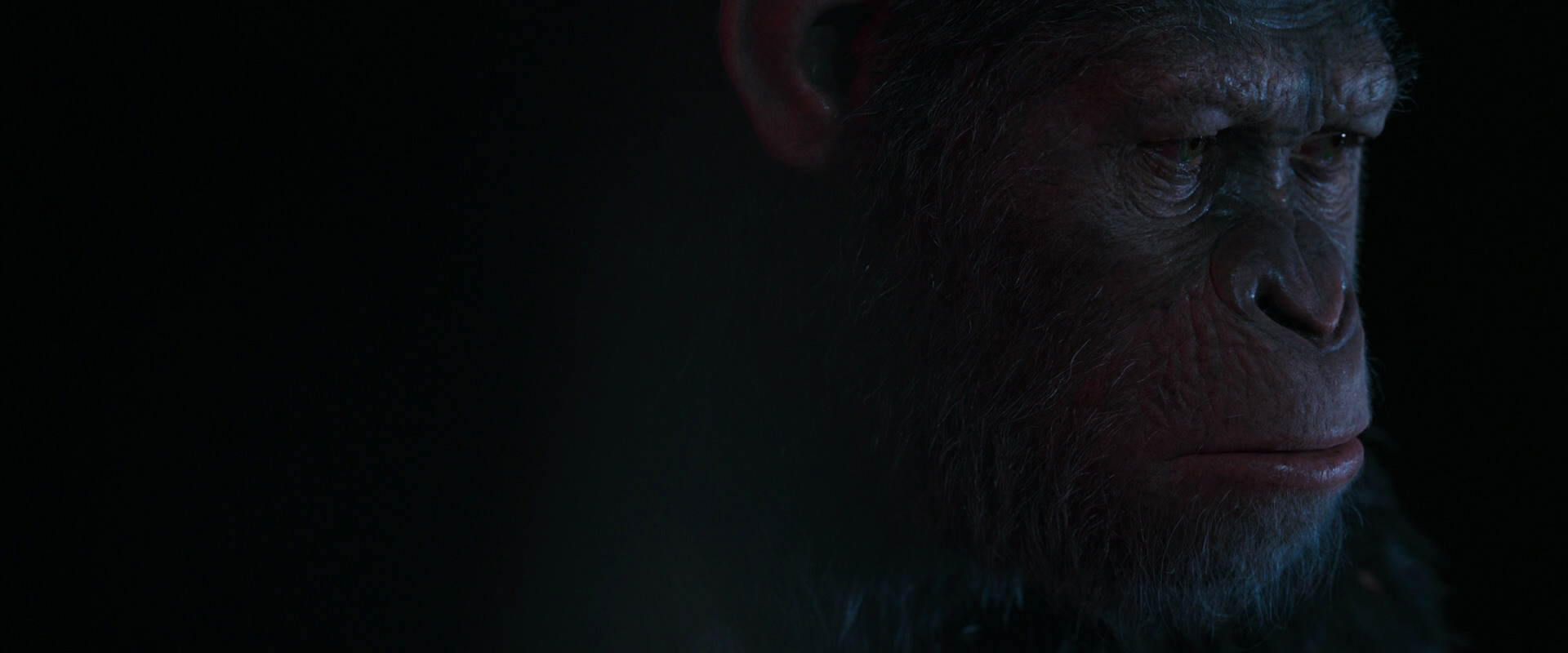War for the Planet of the Apes (2017) movie still 6073