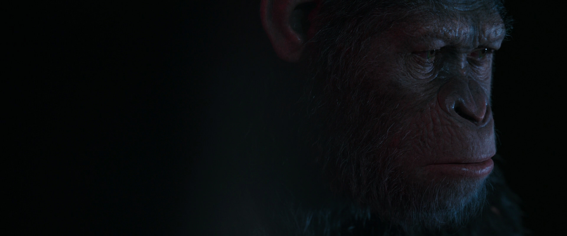 War for the Planet of the Apes (2017) HD screenshot 6074