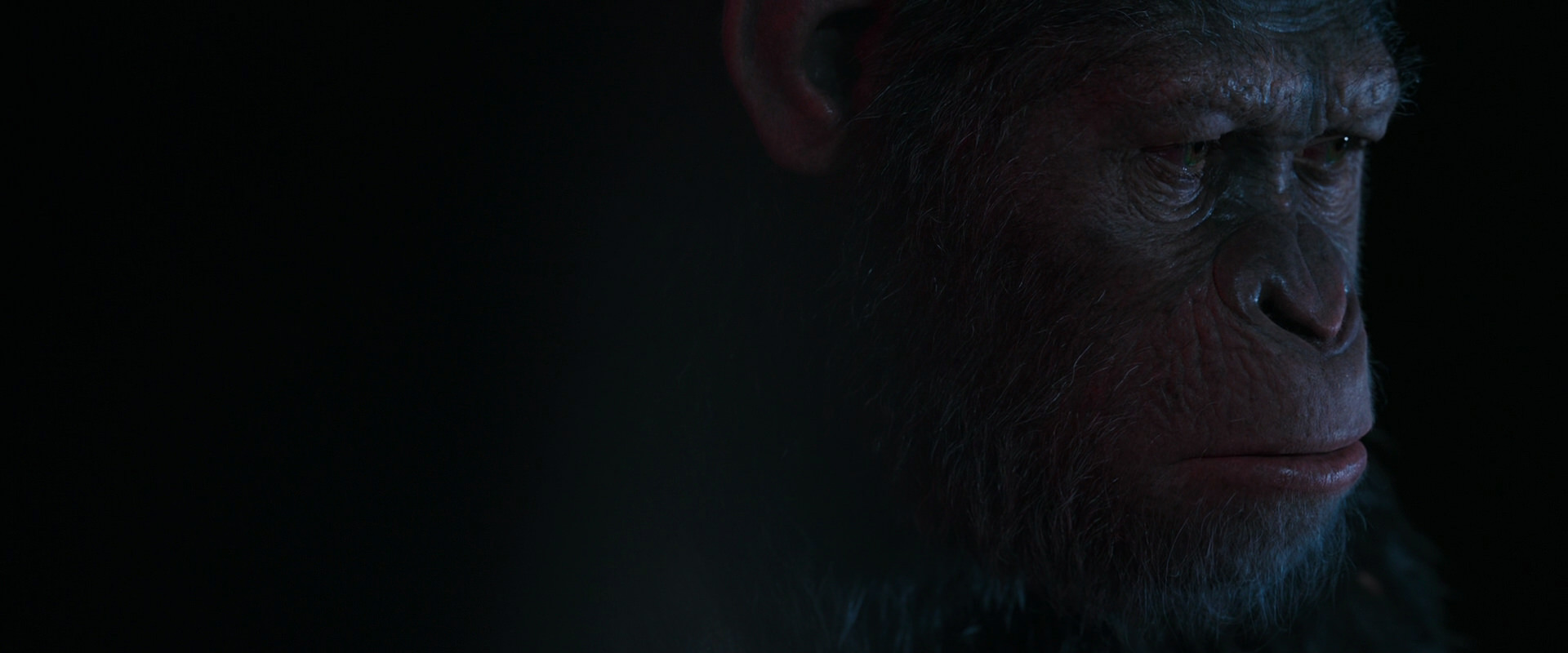 War for the Planet of the Apes (2017) screencap 6075